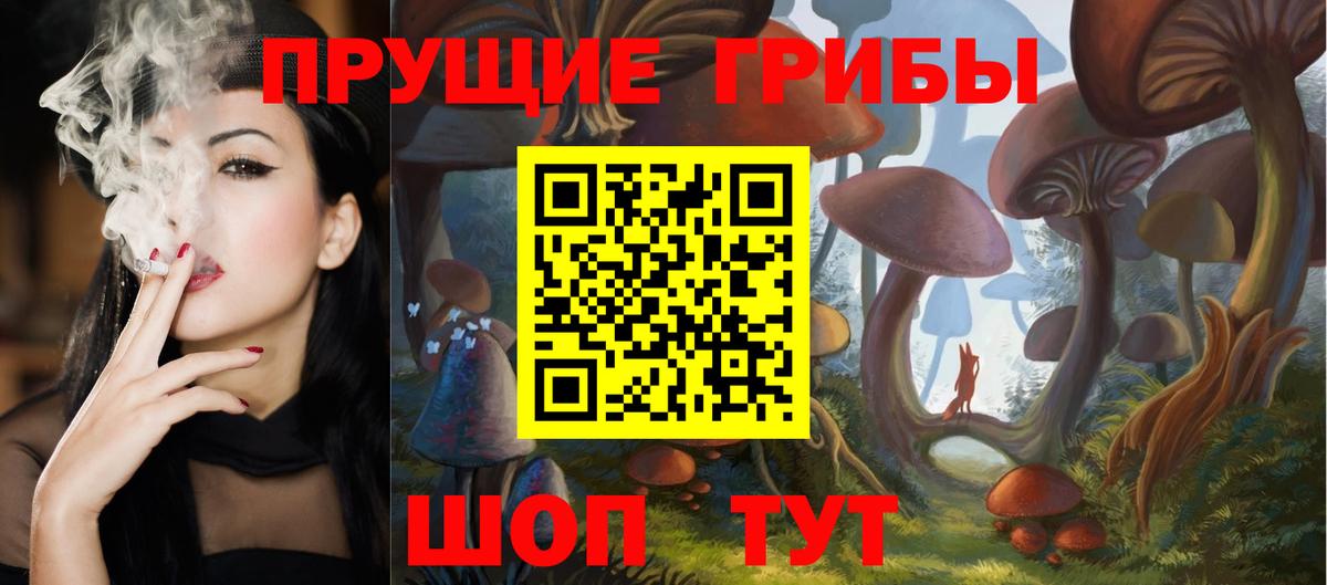 Псилоцибиновые грибы Psilocybine cubensis  Псилоцибиновые грибы Cubensis  Вход с VPN  Людиново 