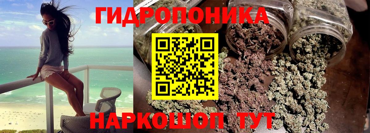 Каннабис OG Kush  Вход с VPN  Марихуана Bruce Banner  Людиново  Бошки марихуана план 